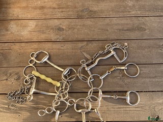 Bett hästutrustning till salu: Diverse bett i Bålsta - Annons 4