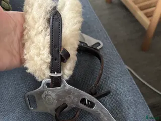 Övrig Hästutrustning hästutrustning PS of Sweden Hack i Munka-ljungby - Annons 4