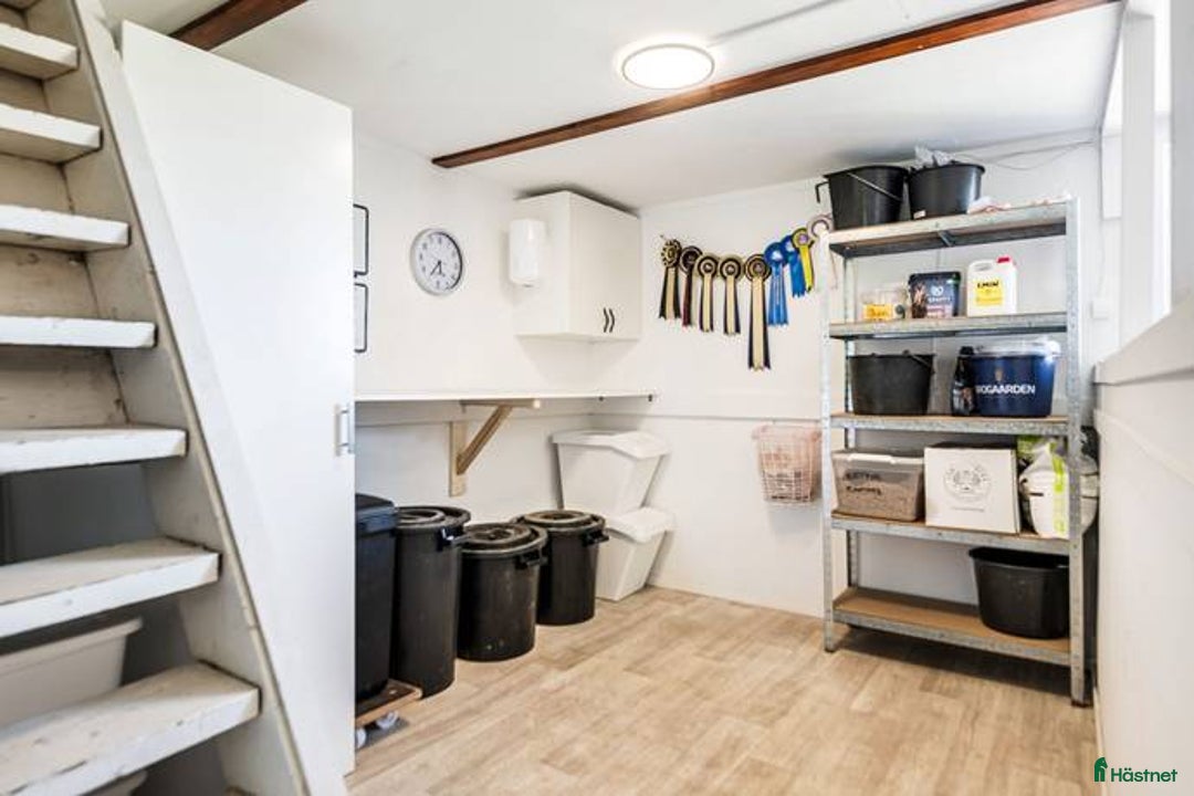  stallplats finnes: stallplats finnes i Borlänge - Annons 2