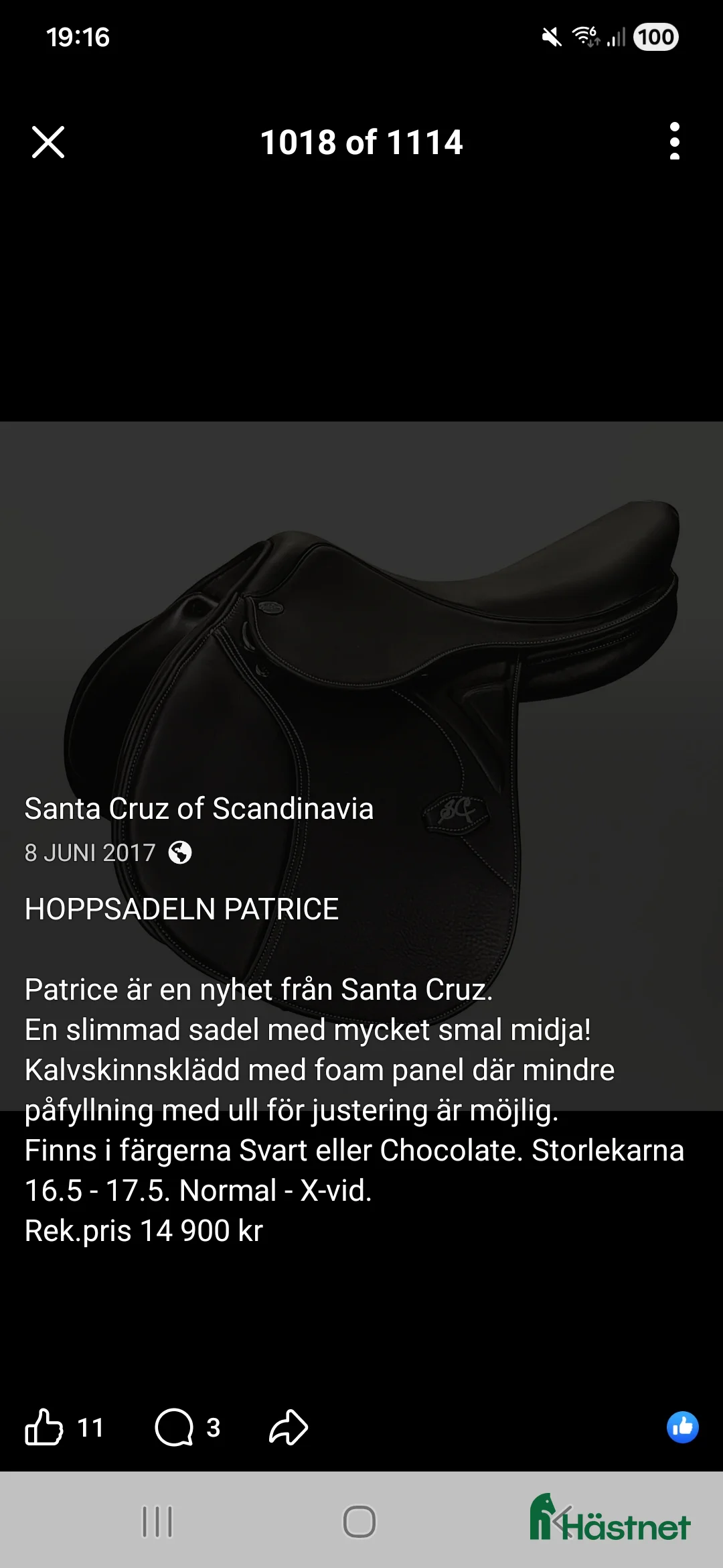 Sadlar hästutrustning till salu: Santa Cruz  i Anderslöv - Annons 2