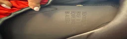 Sadlar hästutrustning till salu: Equipe allegra special 16.5 som ny - Annons 4