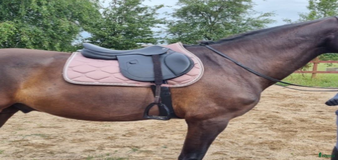 Galleribild {{count}}