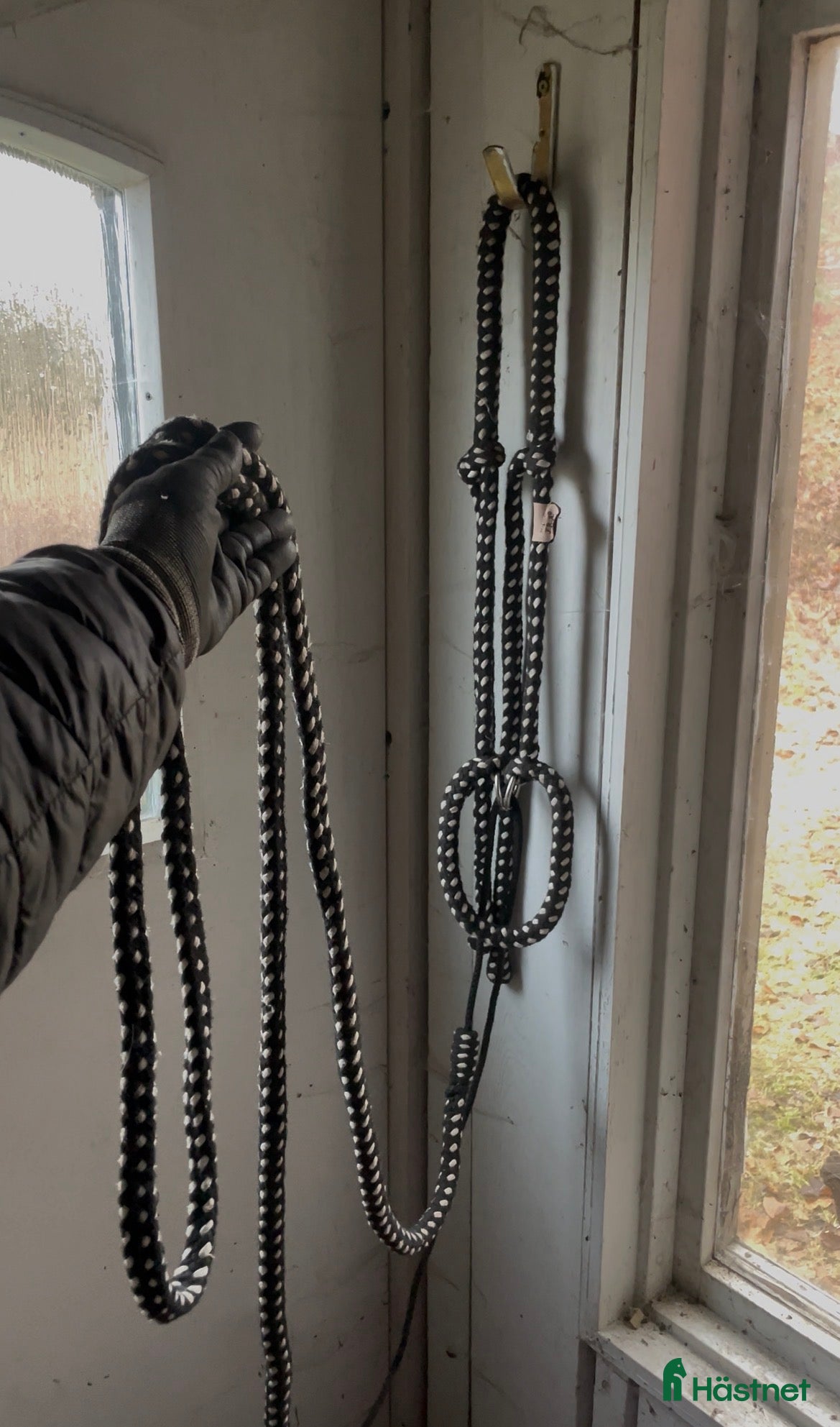 Träns hästutrustning till salu: Bettlöst rep träns i Markaryd - Annons 20