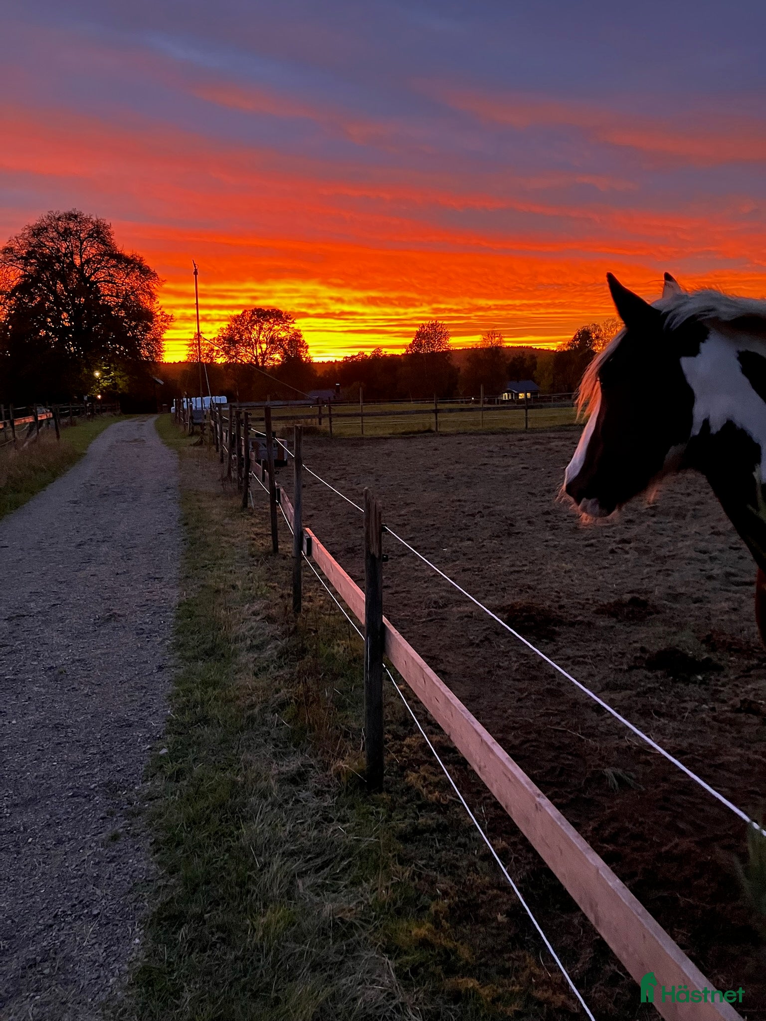  stallplats Lediga stallplatser på mysig gård nära Backamo i Ljungskile - Annons 24