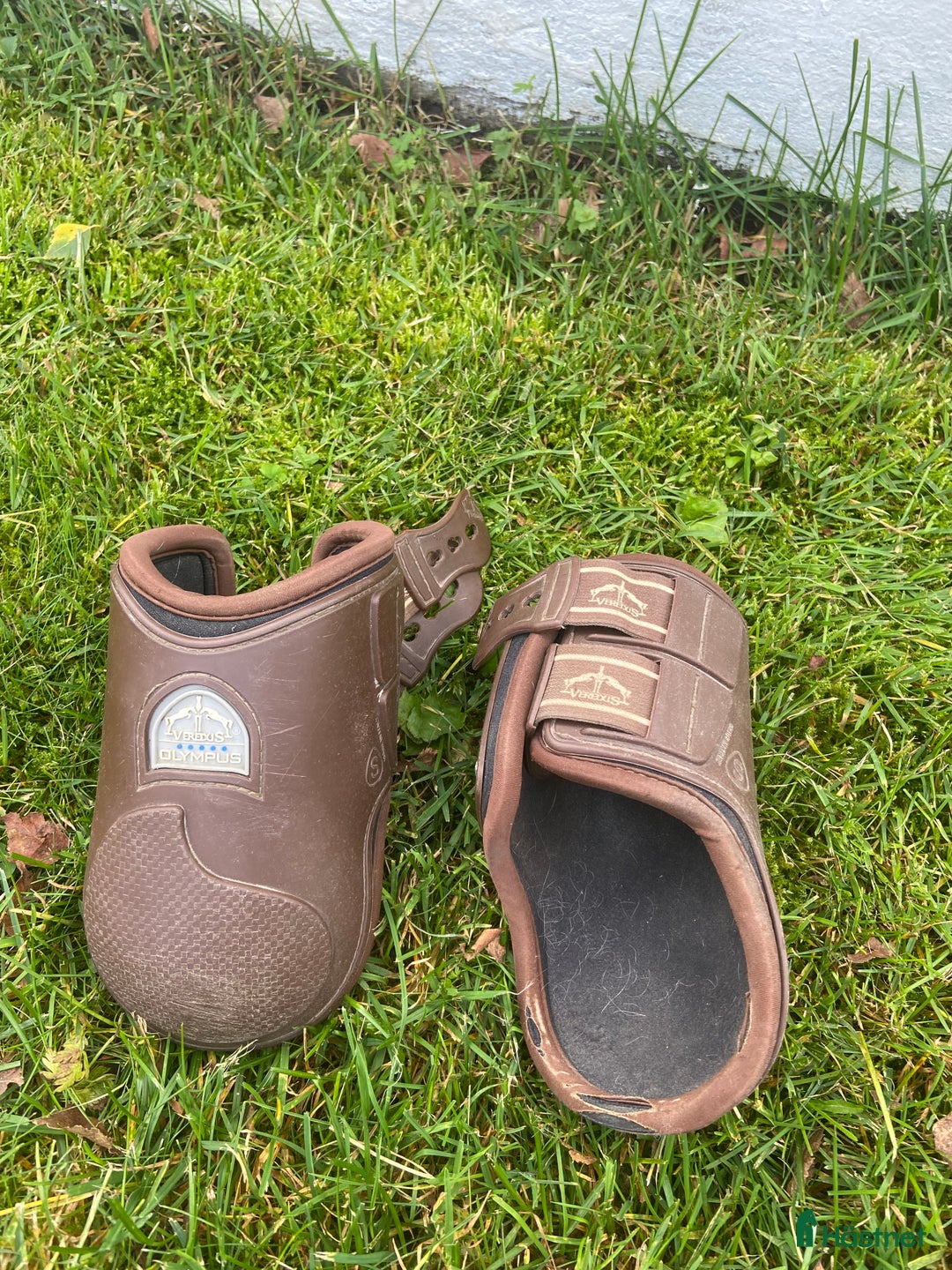 Benskydd hästutrustning till salu: Veredus skydd - Annons 2