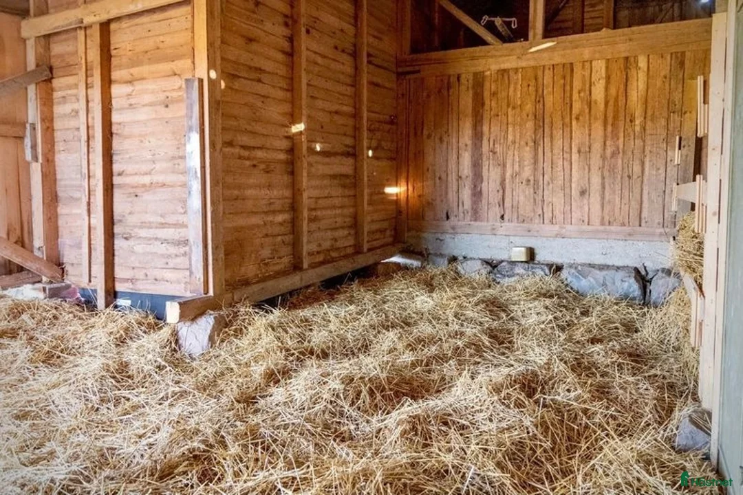  stallplats finnes: Lösdrift nära Eskilstuna i Eskilstuna - Annons 3