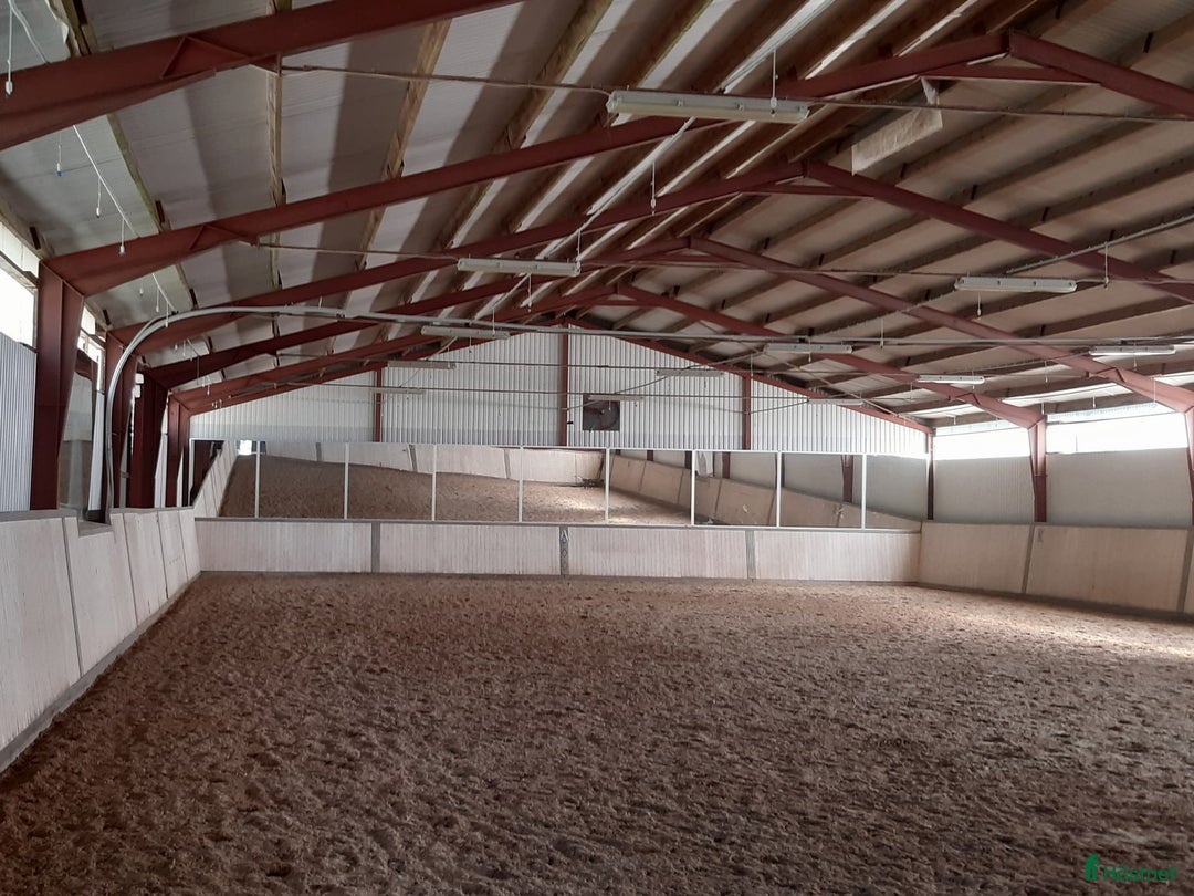  stallplats finnes: Lång utevistelse och ridhus i Sollentuna i Sollentuna - Annons 3