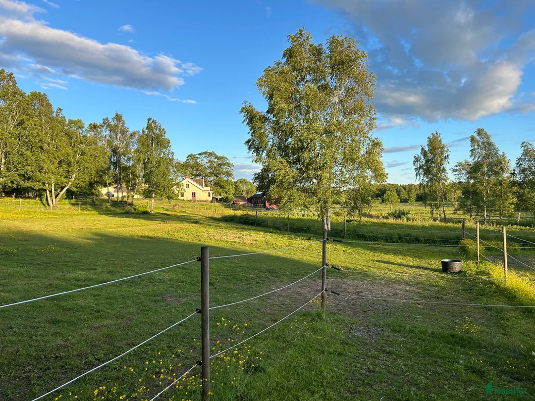  stallplats finnes: Stallplats i Onsala - Annons 3
