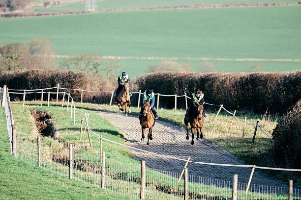  hästjobb Riders & Stable Workers Wanted – Ireland - Annons 4
