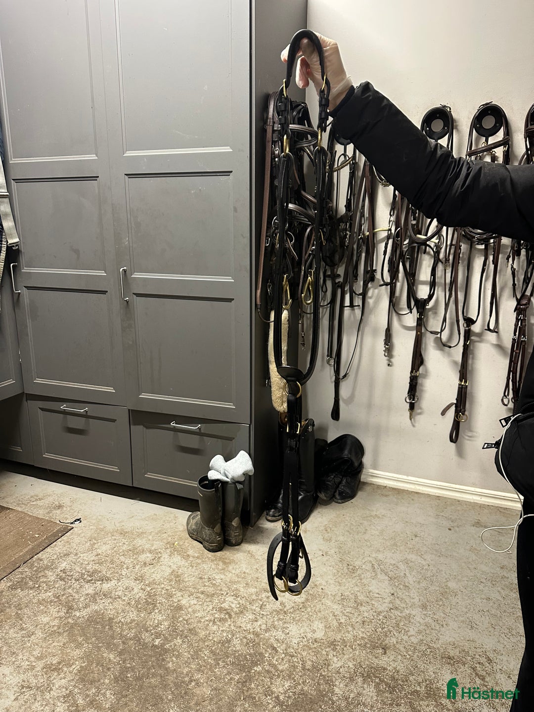 Träns hästutrustning till salu: Antares träns i Norrtälje - Annons 3