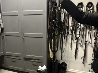 Träns hästutrustning Dyon förbygel - Annons 20