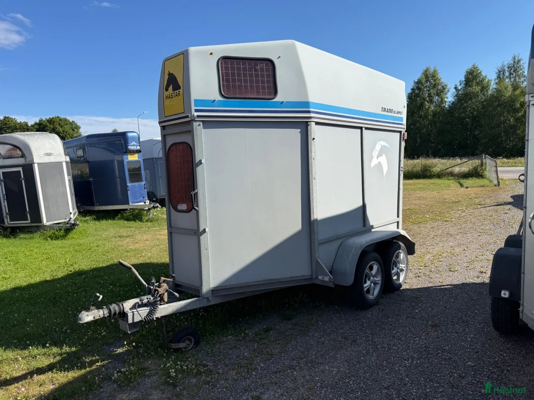 Hästtransporter  fordon & transport till salu: Trane - Utförsäljning! - Annons 2