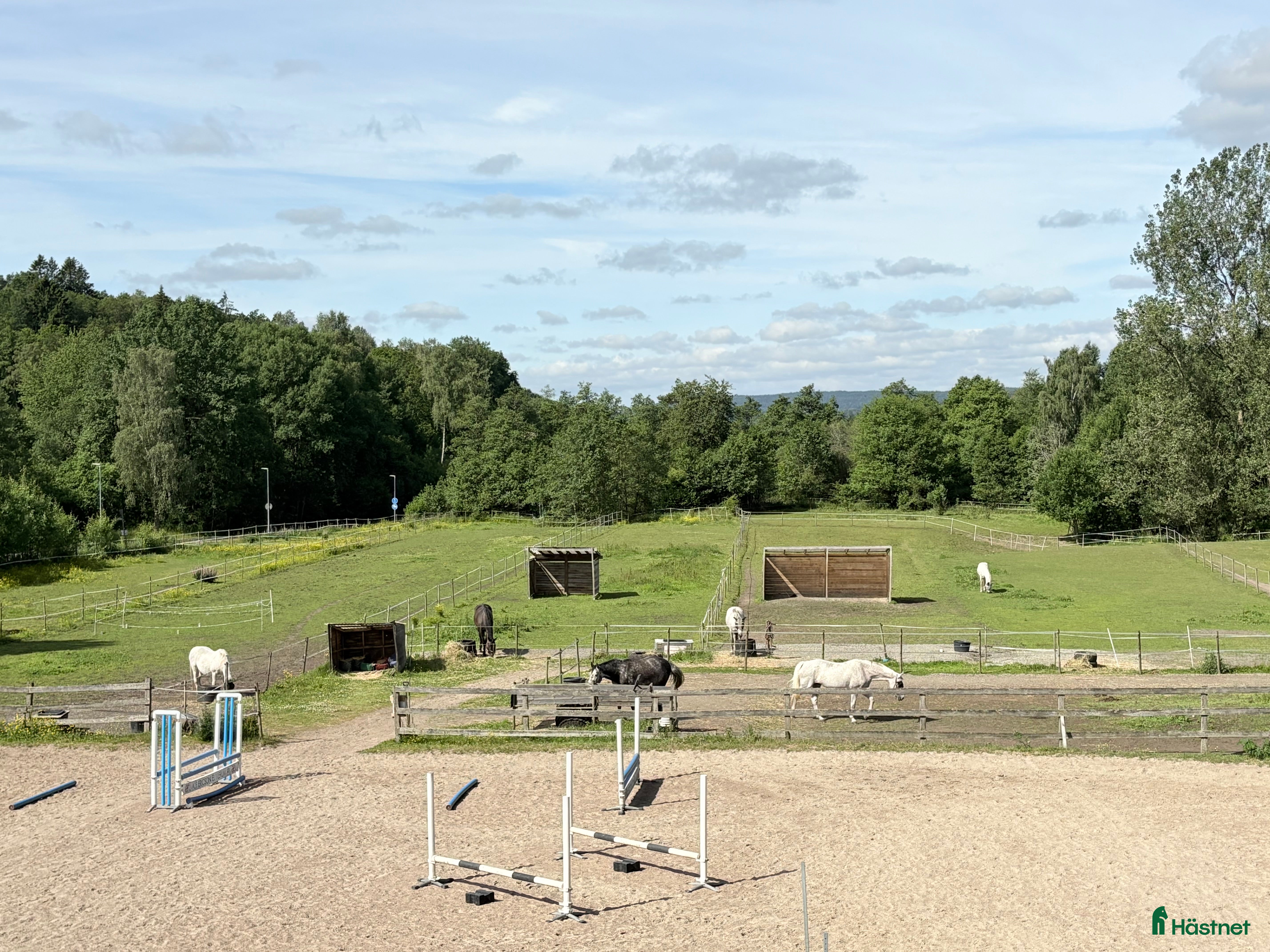  stallplats Ledig stallplats i litet mysigt stall  - Annons 20