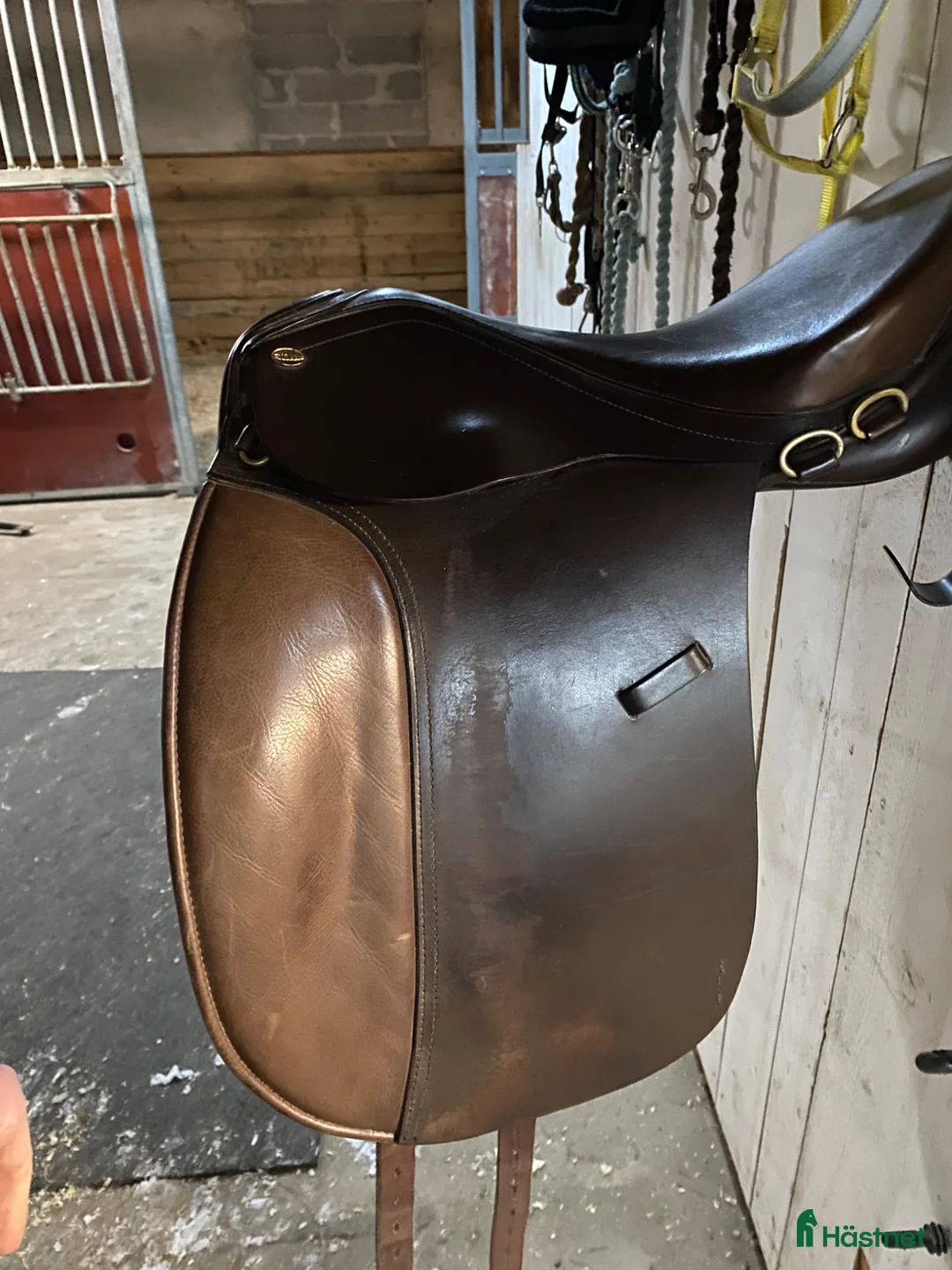 Sadlar hästutrustning till salu: Globus Gloi - Annons 2