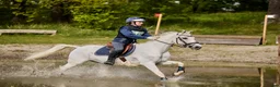 Fälttävlan hästar till salu: Rolig allroundponny - Annons 1