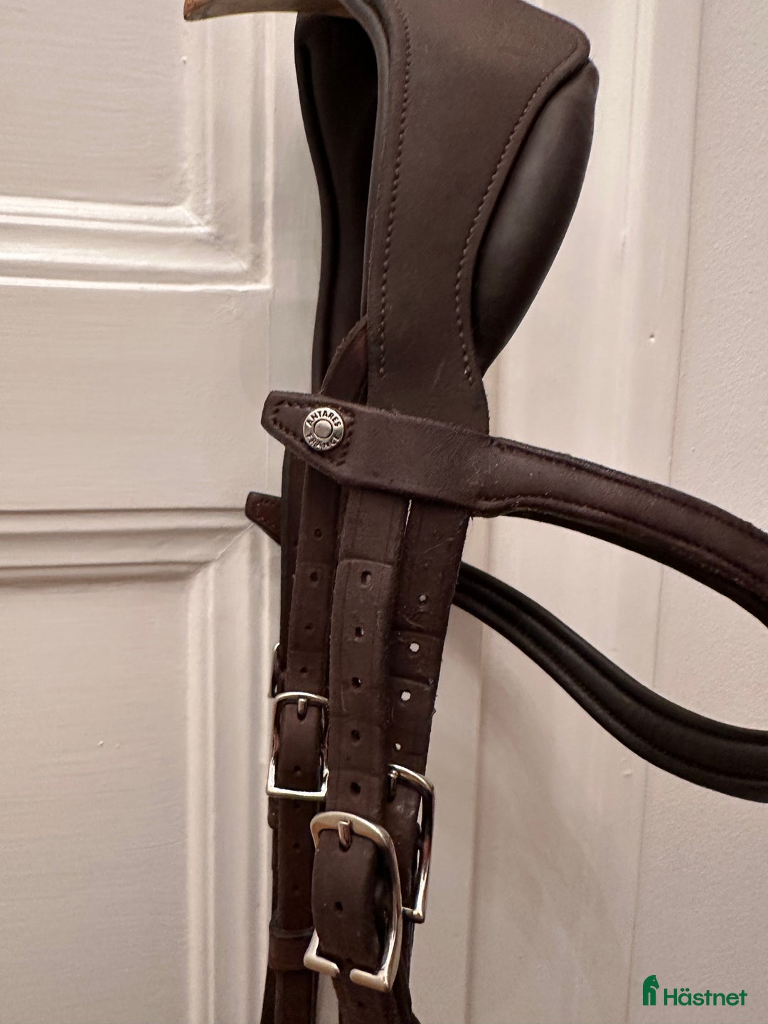 Träns hästutrustning till salu: Antares - precision Y-nosgrimma i Stockholm - Annons 5