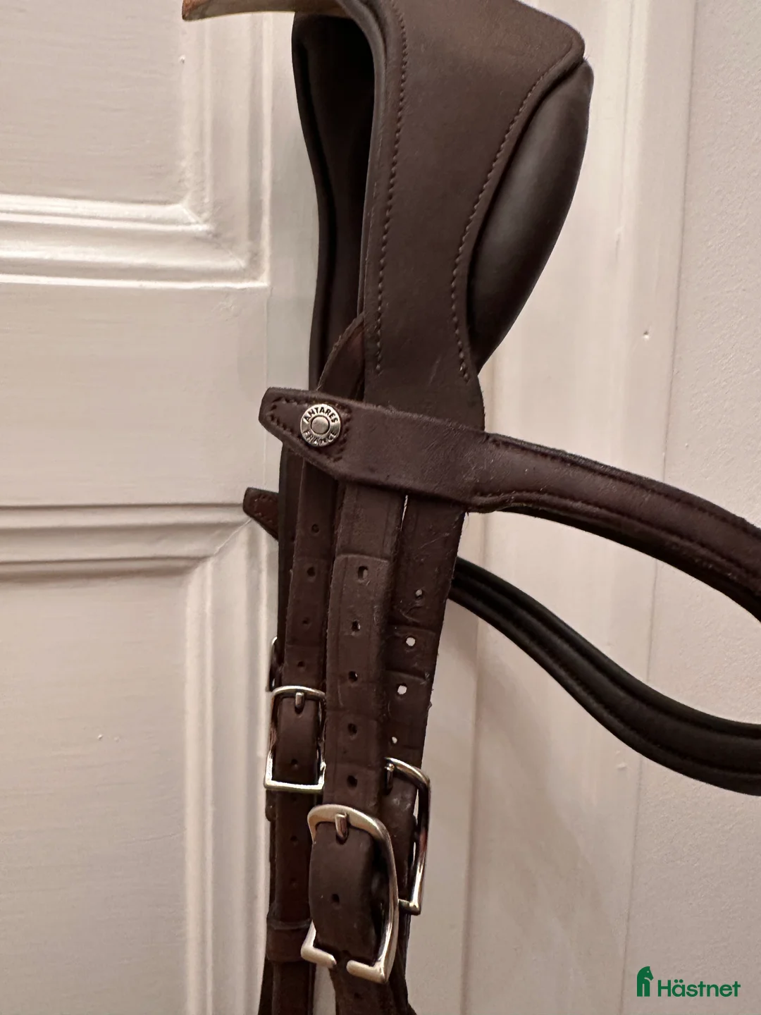 Träns hästutrustning till salu: Antares - precision Y-nosgrimma i Stockholm - Annons 5