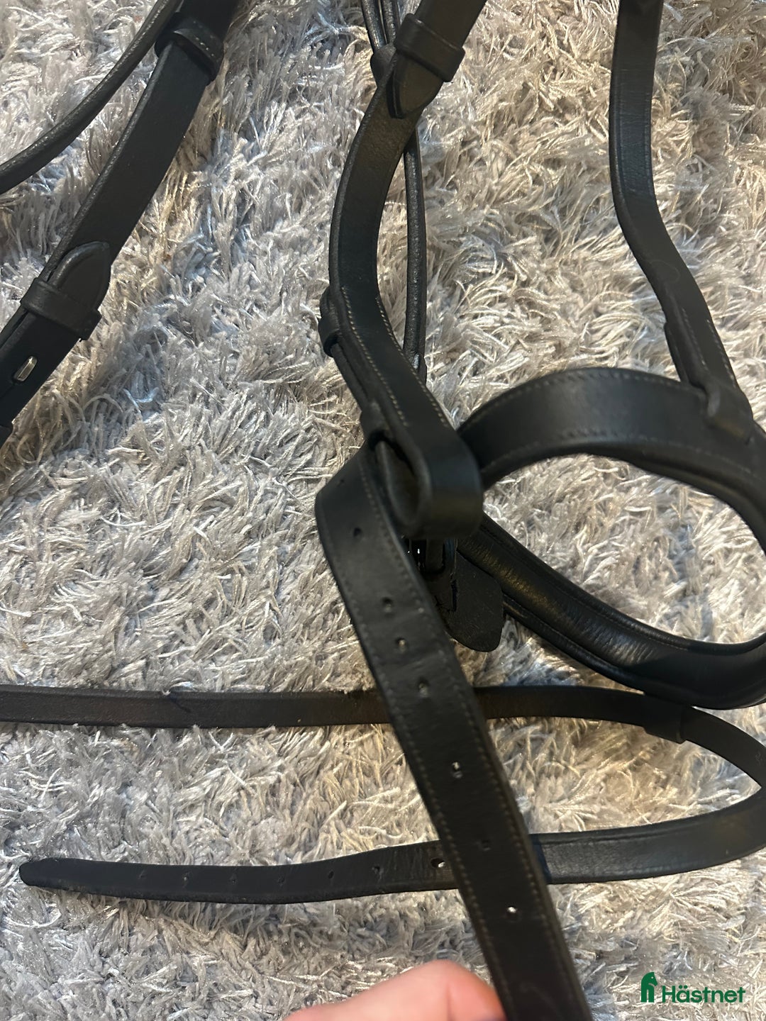 Träns hästutrustning till salu: Fint dyon träns i Uddevalla - Annons 5