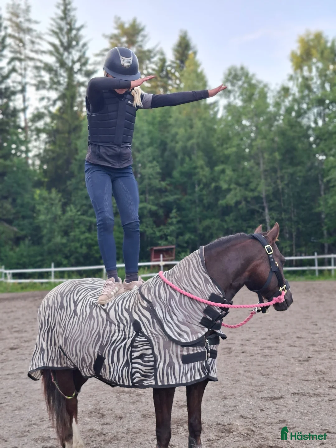 Allround hästar till salu: *RESERVERAD* Rosettplockare och bästa vän🥇 - Annons 2