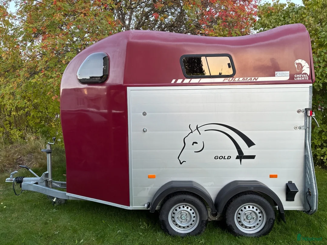 Hästtransporter  fordon & transport till salu: Fin Transport - Annons 1