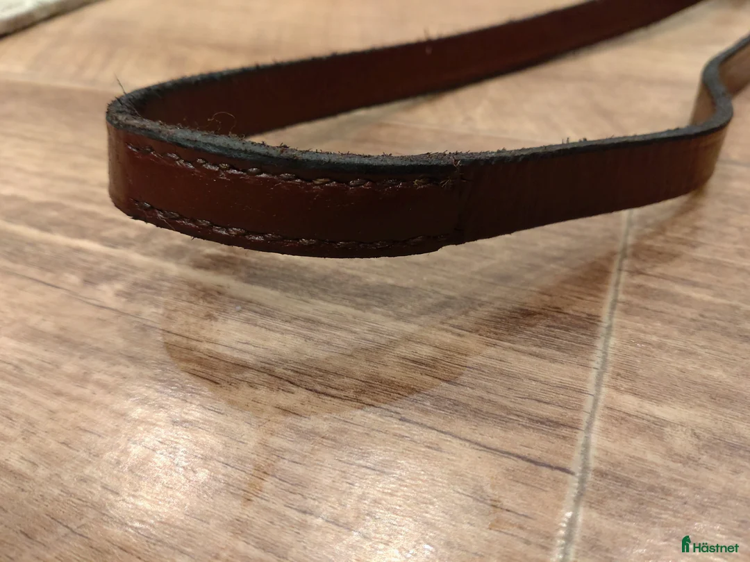 Träns hästutrustning till salu: MH tygel brun 315 cm - Annons 2