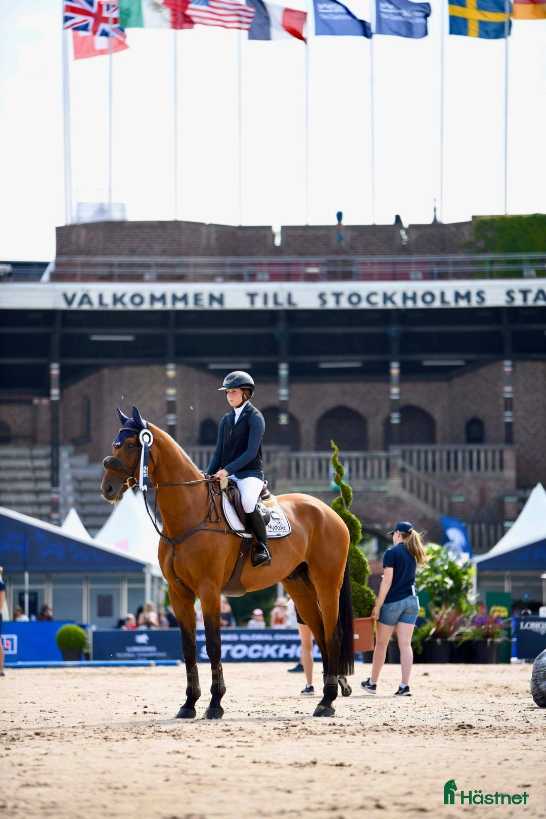 Galleribild {{count}}