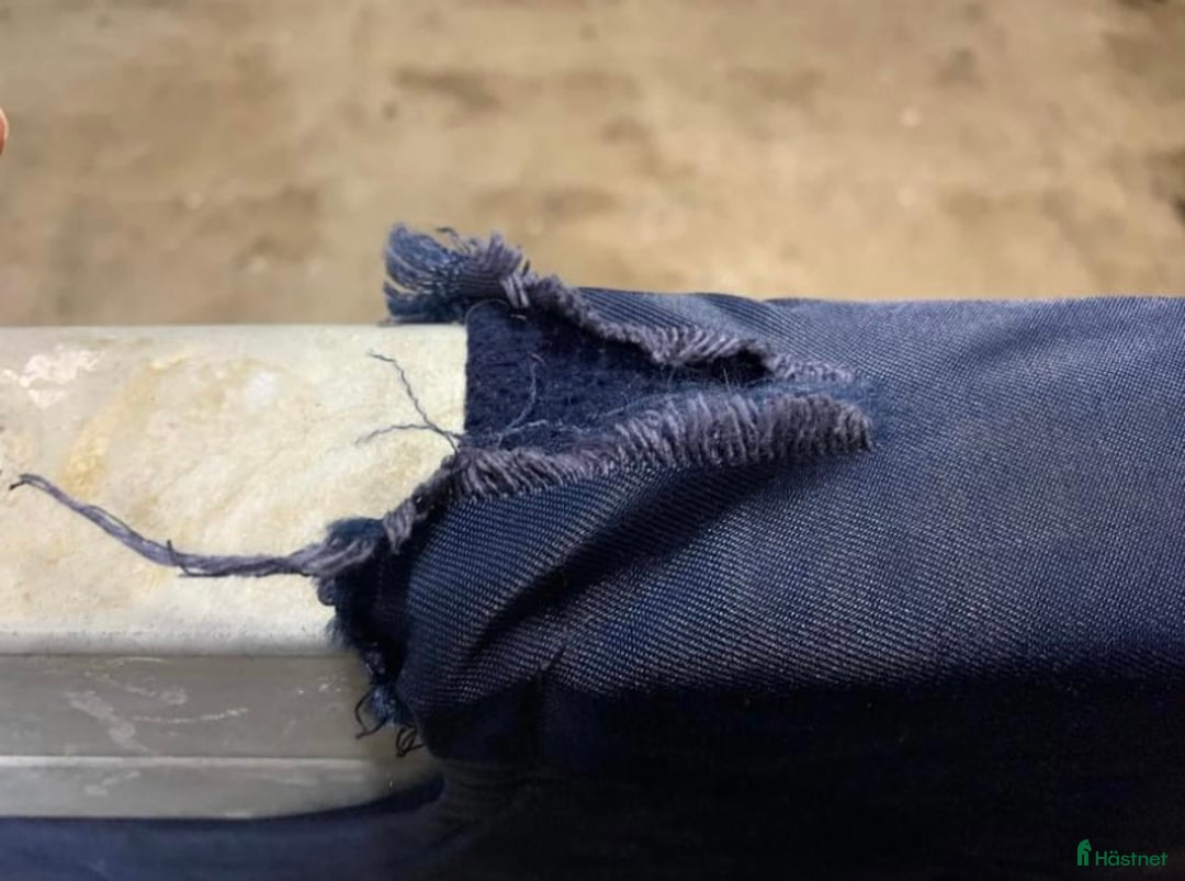 Täcken hästutrustning till salu: Ridtäcken stl.115 i Vellinge - Annons 2