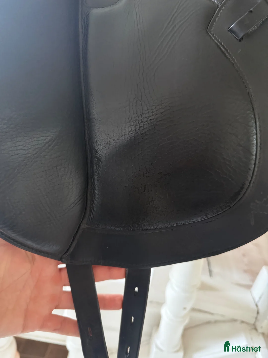 Sadlar hästutrustning till salu: Equipe Bocelli  - Annons 2