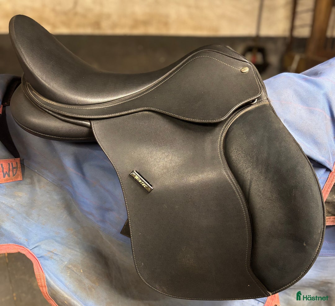 Sadlar hästutrustning till salu: Wintec sadel i Perstorp - Annons 3