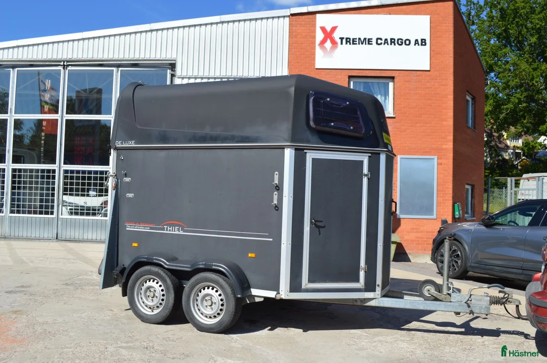 Hästtransporter  fordon & transport till salu: Thiel De Luxe 2013 Totalvikt 1430kg - Annons 1