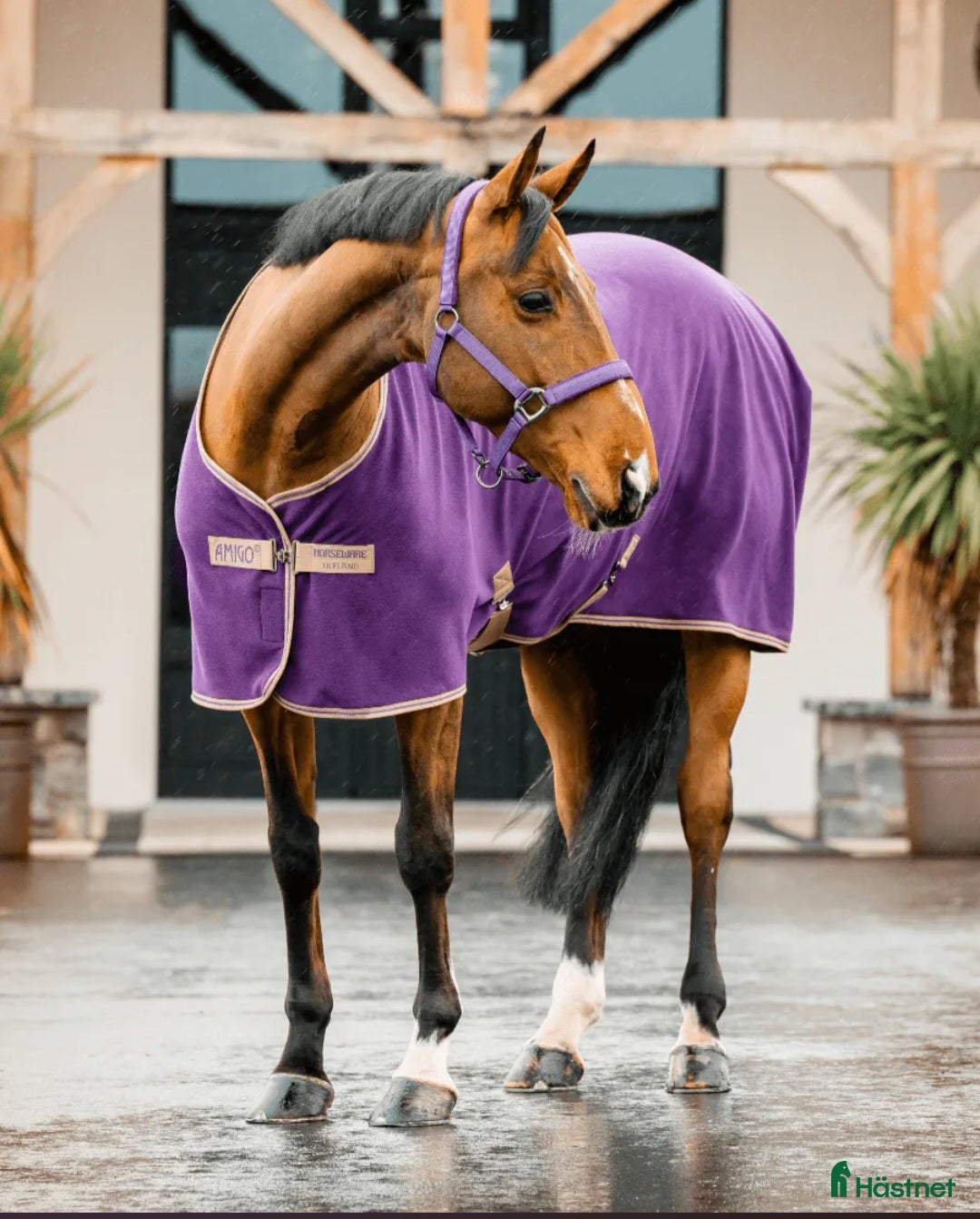 Täcken hästutrustning till salu: Amigo Fleece Cooler täcke i stl 145 i Sidensjö - Annons 2