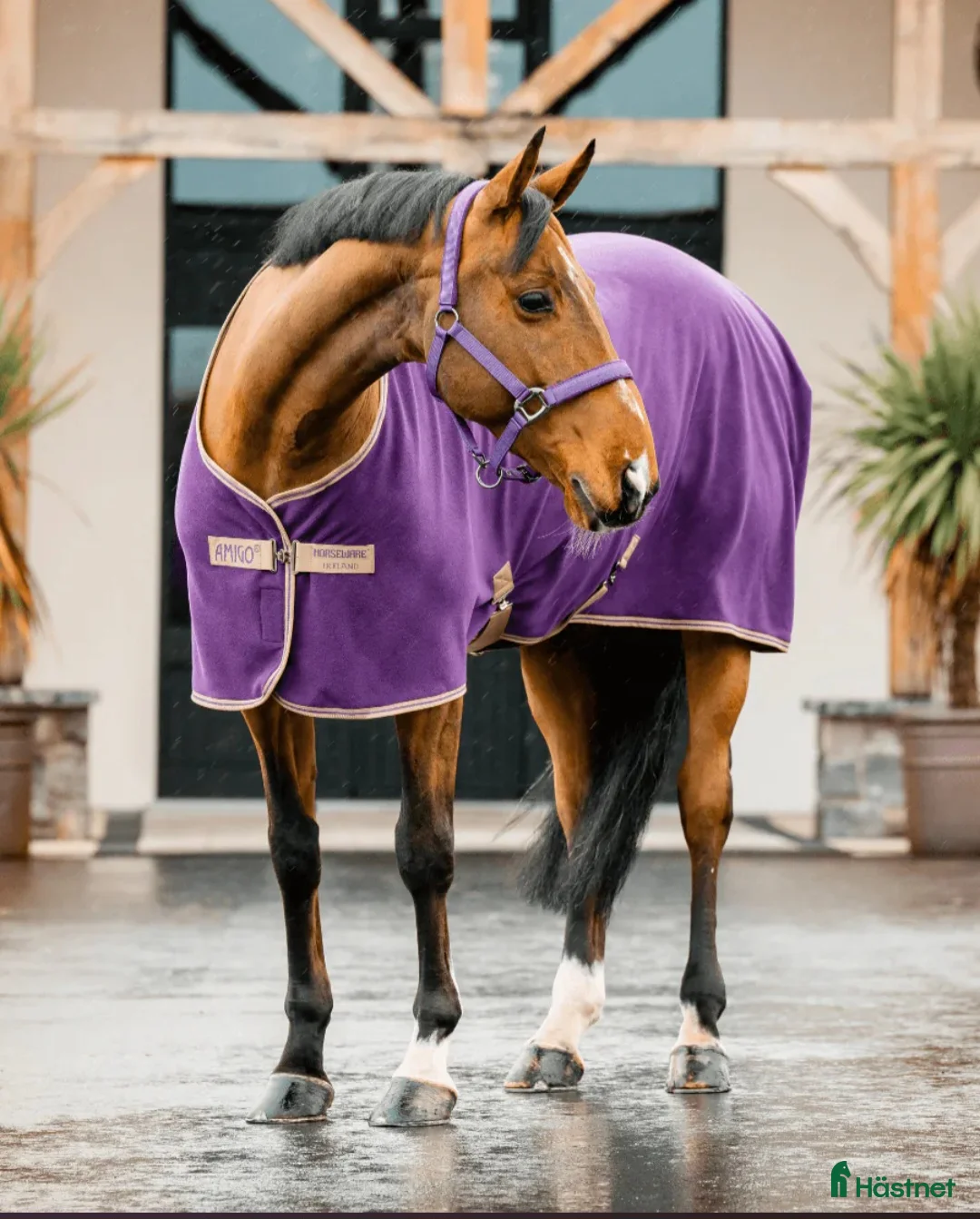 Täcken hästutrustning till salu: Amigo Fleece Cooler täcke i stl 145 i Sidensjö - Annons 1