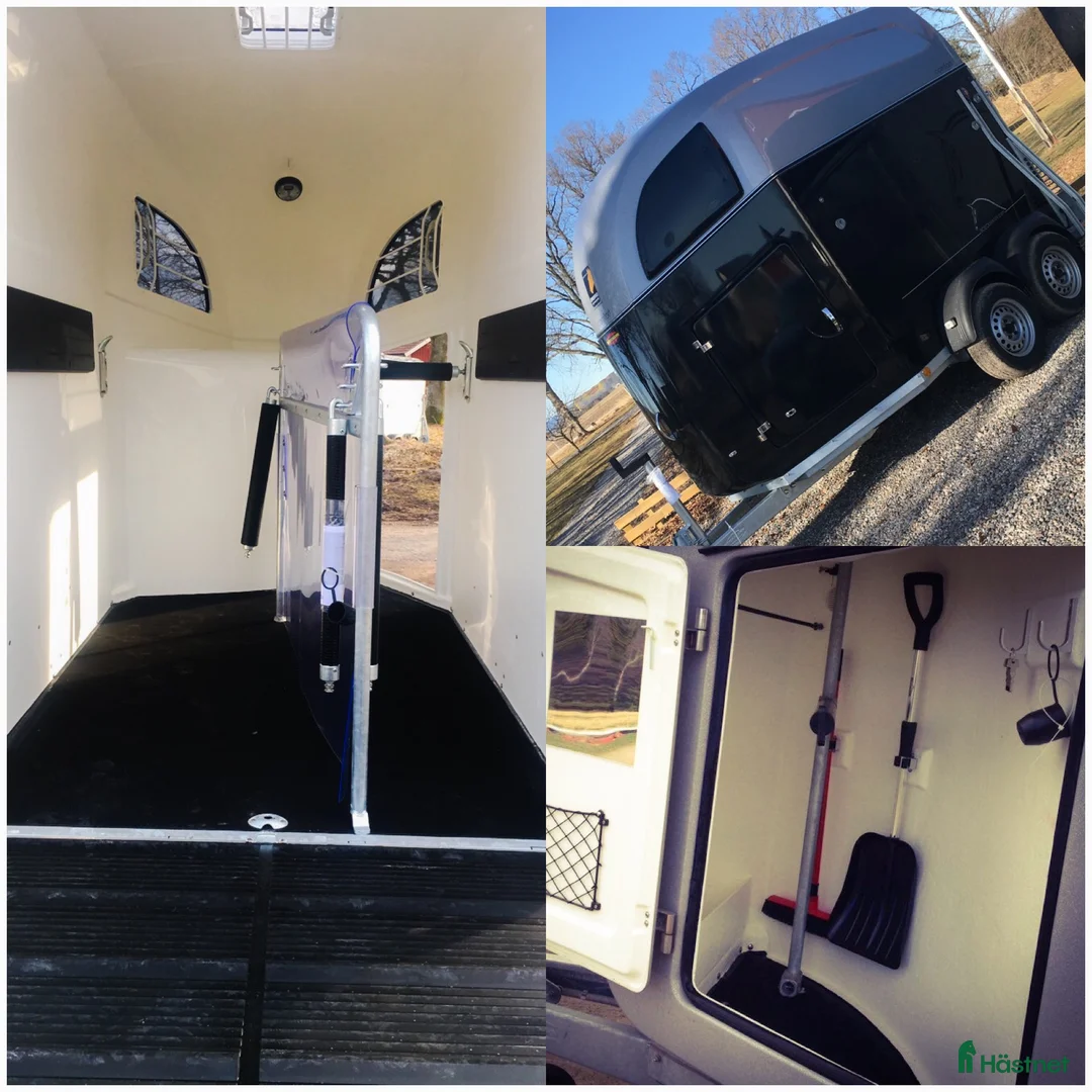Hästtransporter  fordon & transport till salu: Böckmann Comfort glasfiber - Annons 1