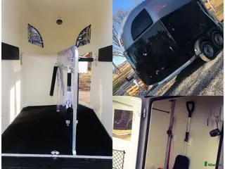 Hästtransporter fordon & transport till salu: Böckmann Comfort glasfiber - Annons 14