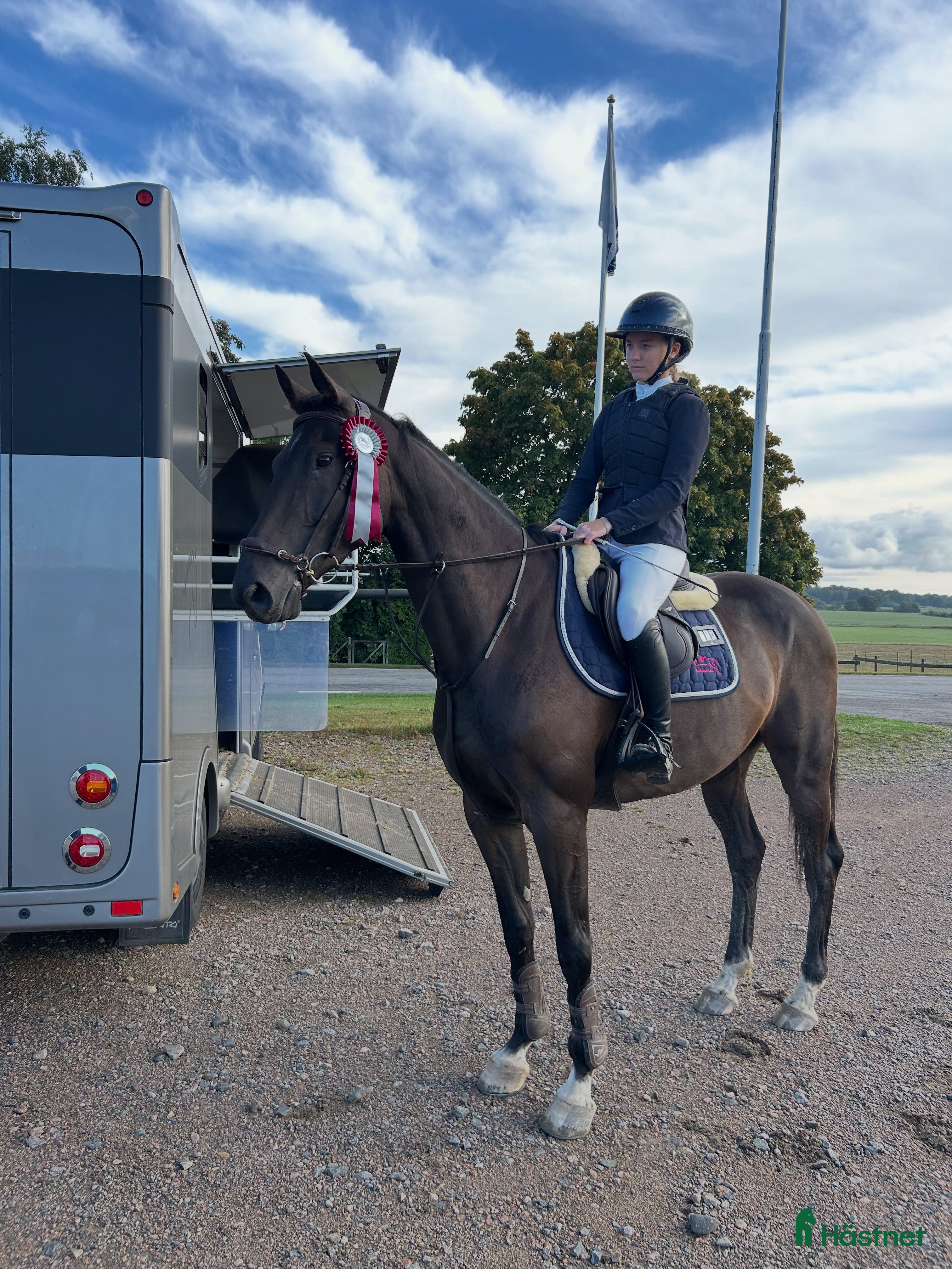  hästar Bästavän till hoppning/fälttävlan i Ljungby - Annons 10