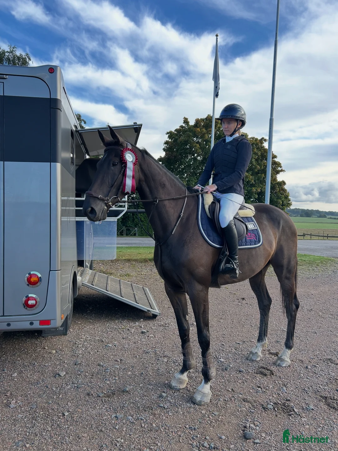 Hoppning hästar till salu: Bästavän till hoppning/fälttävlan i Ljungby - Annons 1