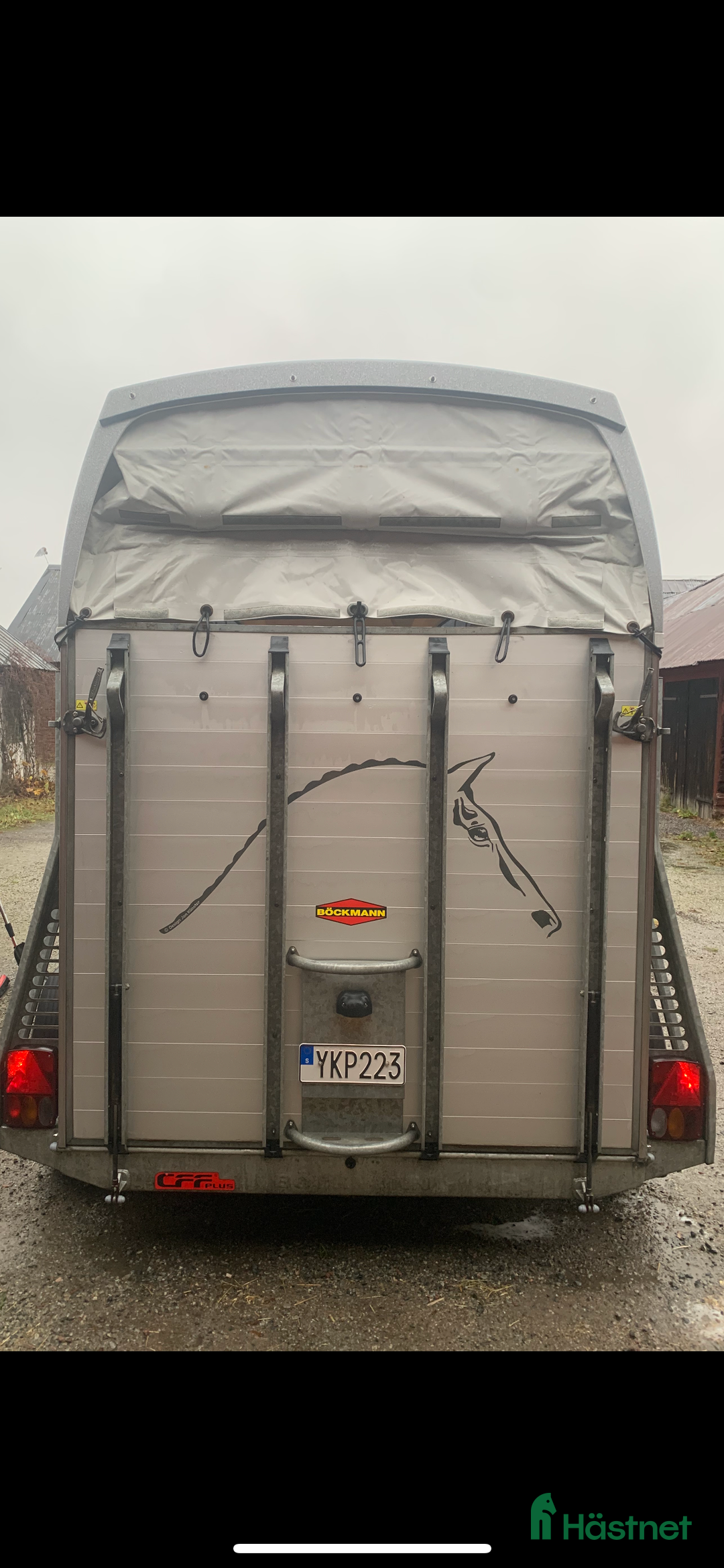 Hästtransporter  fordon & transport till salu: Böckmann Champion R år 2017 i Örsundsbro - Annons 2