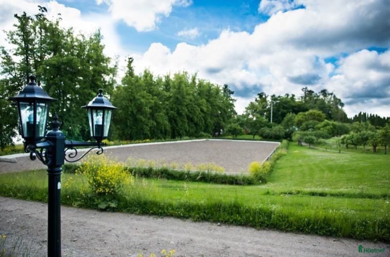  stallplats Ledig boxplats på Almare Stäket - Annons 17