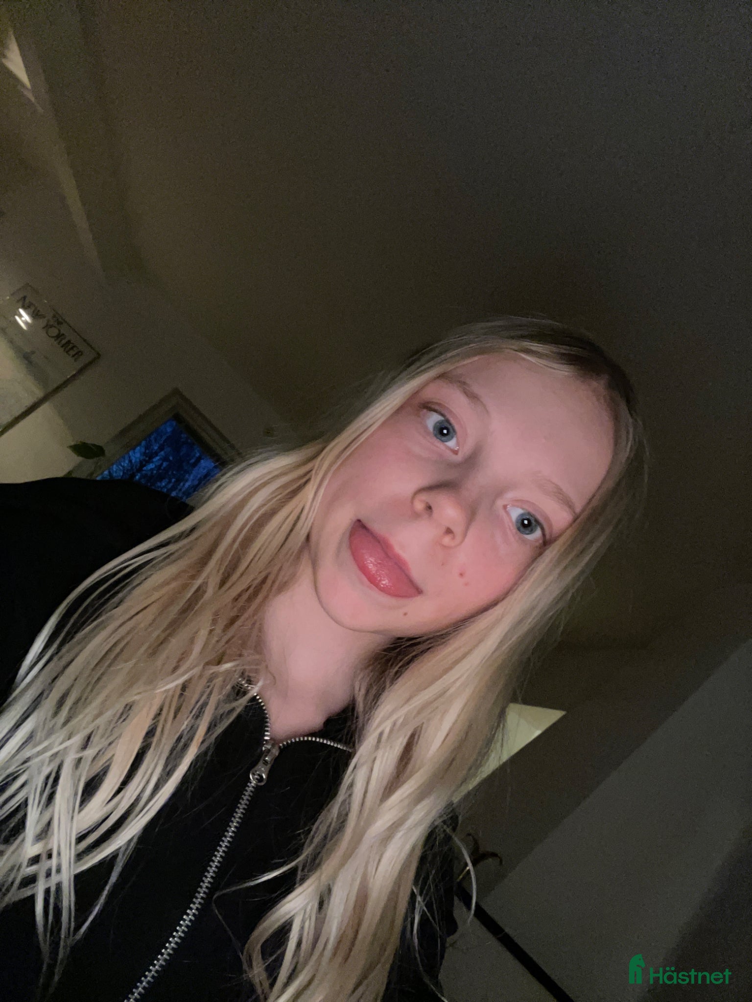  medryttarhäst sökes: Söker medryttarponnies!🩷 - Annons 3