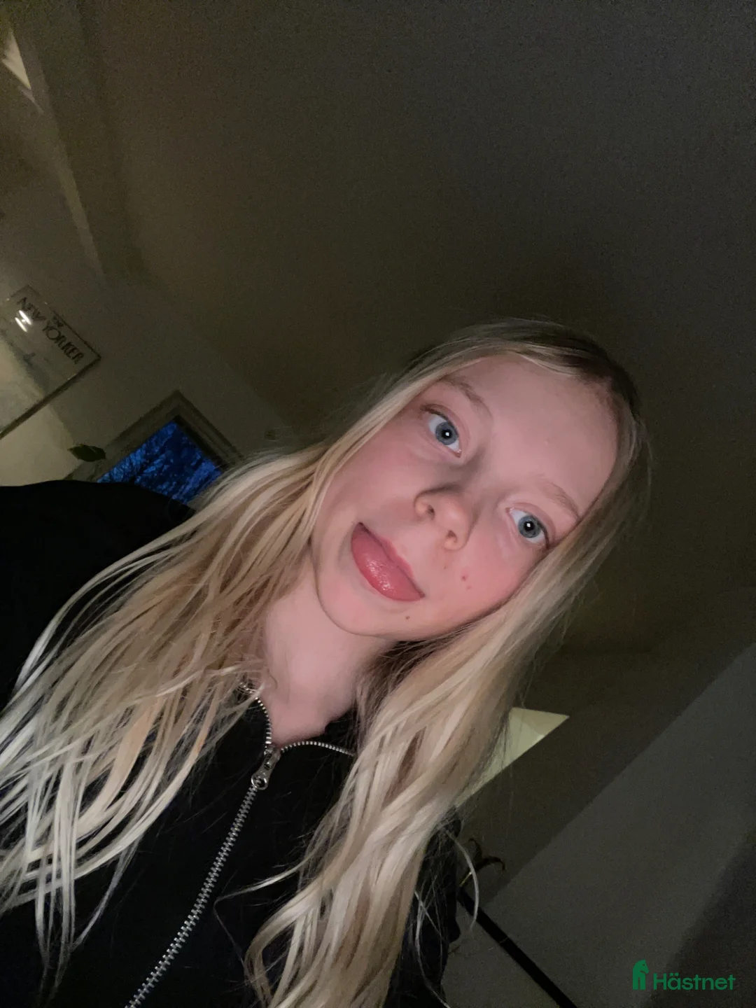  medryttarhäst sökes: Söker medryttarponnies!🩷 i Älvsjö - Annons 1