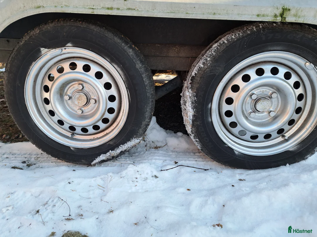 Hästtransporter  fordon & transport till salu: Star x 3000 år2005 - Annons 7