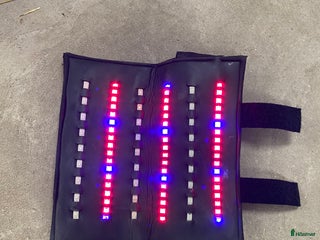 Övrig Hästutrustning hästutrustning till salu: Equine LTS ljusterapi-wrap i Nossebro - Annons 2