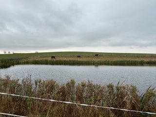 medryttarhäst finnes: Vill du vara en del av våra team? i Vellinge - Annons 6