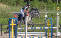 Hoppning hästar till salu: Topponny för högre klasser i Göteborg - Bild 2