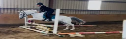 Hoppning hästar till salu: Super 138 pony - Annons 12
