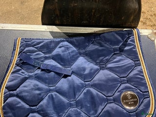 Schabrak & Vojlockar hästutrustning till salu: JH collection schabrak i Vikbolandet - Annons 11