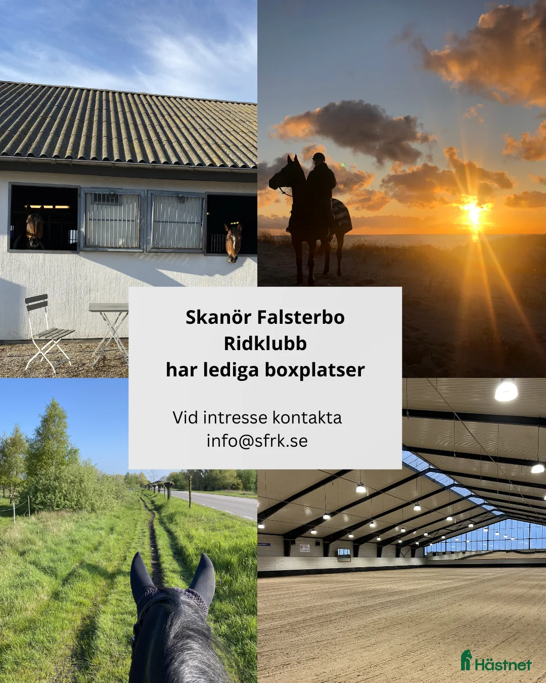  stallplats finnes: Lediga boxplatser Skanör Falsterbo Ridklubb - Annons 1