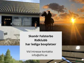 stallplats Lediga boxplatser Skanör Falsterbo Ridklubb - Annons 1