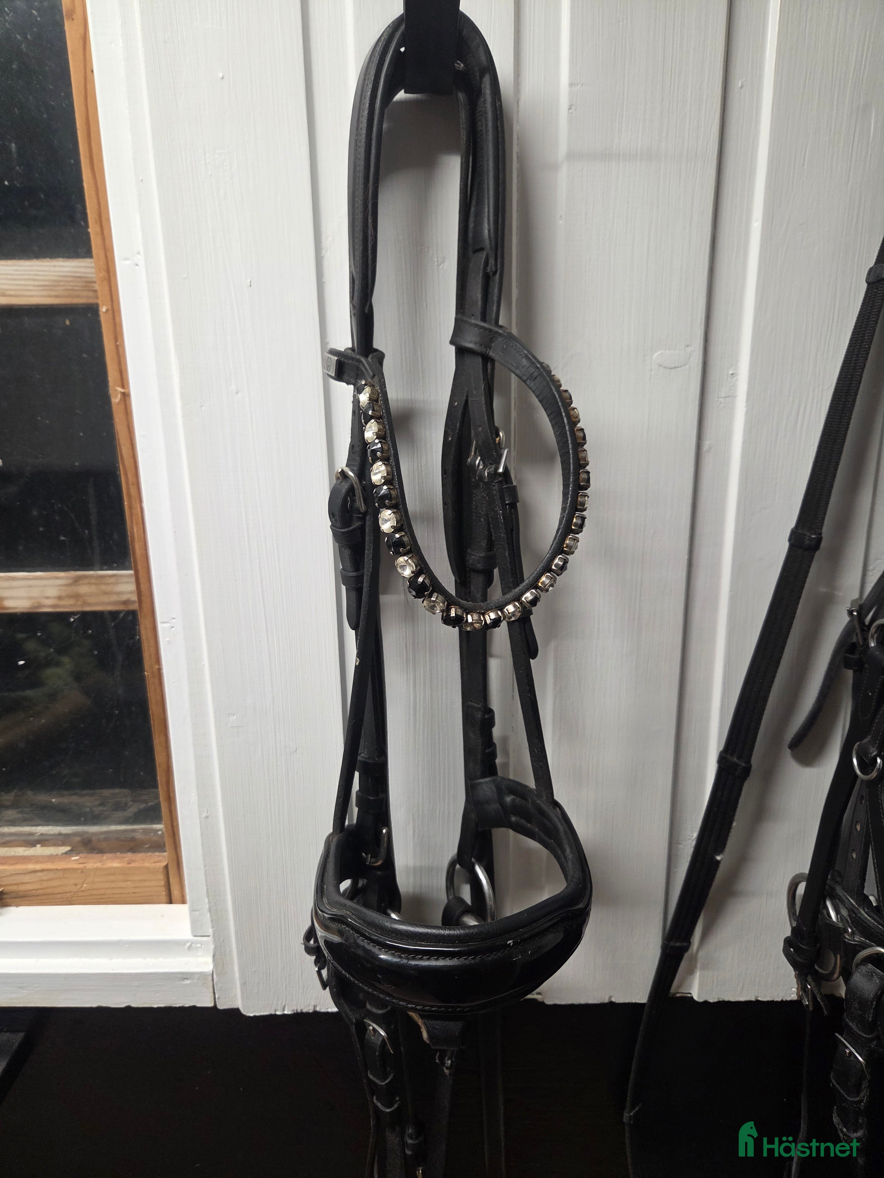 Träns hästutrustning till salu: Träns i Rånäs - Annons 16