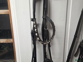 Träns hästutrustning till salu: Träns i Rånäs - Annons 5